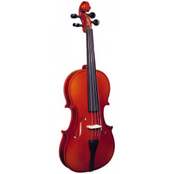 STRUNAL STRADIVARIUS 3/4 29WA 4/4