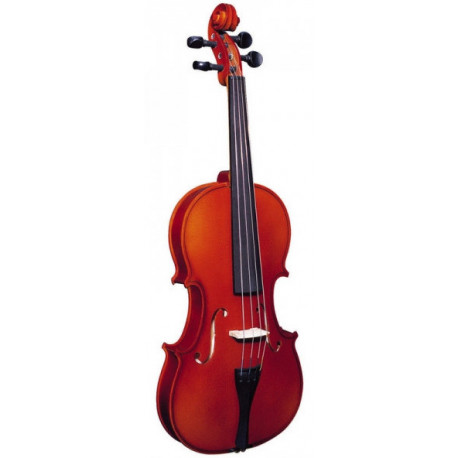 STRUNAL STRADIVARIUS 3/4 29WA 4/4