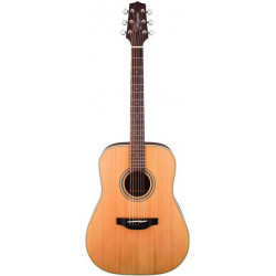 TAKAMINE GD20 NS