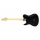 FUJIGEN JIL2-ASH-M Iliad J-Standard (2-Tone Sunburst)
