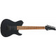 FUJIGEN JIL72-ASH-DEG Iliad Dark Evolution Series (Open Pore Black)