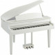 KURZWEIL CGP220 W