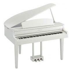 KURZWEIL CGP220 W