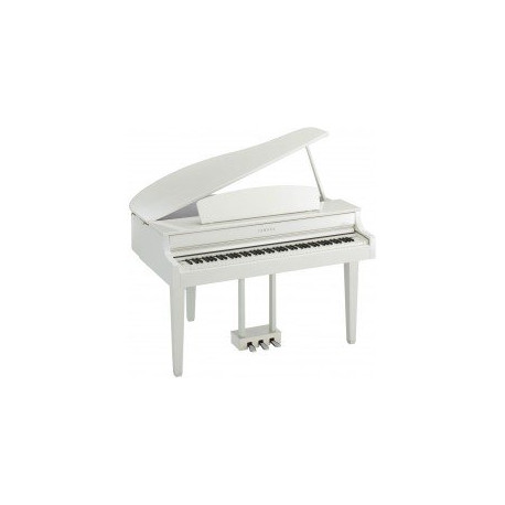 KURZWEIL CGP220 W