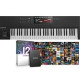 NATIVE INSTRUMENTS KOMPLETE KONTROL S61 MK2 + KOMPLETE 12 ULTIMATE