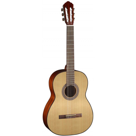 CORT AC100DX (Open Pore)