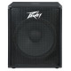 PEAVEY PV118