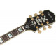EPIPHONE SHERATON - II PRO EBONY