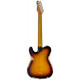 LTD TE-254 Distressed (3-Tone Burst)
