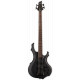 LTD F204 (Black Satin)