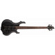 LTD F204 (Black Satin)