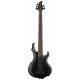 LTD F205 (Black Satin)