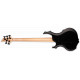 LTD F205 (Black Satin)