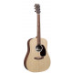 MARTIN D-X2E Mahogany