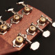 CORT Little CJ Blackwood (Open Pore Light Burst)