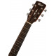 CORT Earth 80 (Natural Satin)