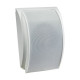HL AUDIO WS119 Wall Speaker