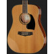 IBANEZ PF15-12 NT