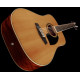 IBANEZ PF15-12 NT