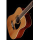 IBANEZ PF15-12 NT