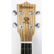PARKSONS UK21Z