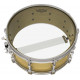 REMO DIPLOMAT 13'' CLEAR