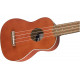 FENDER UKULELE VENICE SOPRANO NATURAL WN