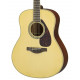 YAMAHA LL6M ARE (Natural)