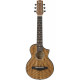 IBANEZ EWP14WB OPN