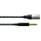 CORDIAL CCM 10 MP