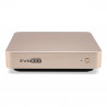 EVOLUTION EVOBOX GOLD