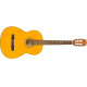 FENDER ESC105