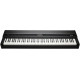 KURZWEIL MPS120