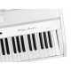 ORLA STAGE STUDIO WHITE