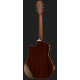 EPIPHONE AJ-220SCE NT