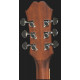 EPIPHONE AJ-220SCE NT
