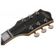 GRETSCH G2655 STREAMLINER LR VILLAGE AMBER WITH V-STOPTAIL