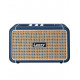 LANEY F67 LIONHEART