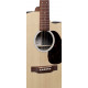 MARTIN DC-X2E Rosewood