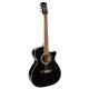 Электроакустическая гитара Richwood RA-12-CEBK