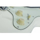 SCHECTER NICK JOHNSTON TRAD ASNW