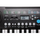 KURZWEIL KP10