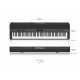 ROLAND FP-90X BK