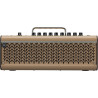 YAMAHA THR30A II Wireless