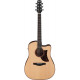 IBANEZ AAD300CE LGS