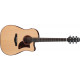 IBANEZ AAD300CE LGS