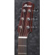 IBANEZ AAD100
