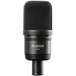 AUDIX A133