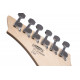 CORT X100 (Open Pore Black Cherry)