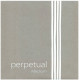 PIRASTRO PERPETUAL 333020